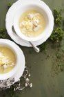 Chicken soup with rice — Stock Photo