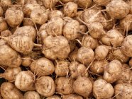 Raw Jicama turnips — Stock Photo