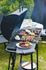 Salsicce, spiedini e verdure su un barbecue a carbone all'aperto durante il giorno — Foto stock