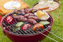 Sausages and vegetables on a charcoal grill on green grass outdoors — Stock Photo