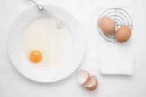 Un huevo roto en un plato con un batidor al lado de huevos enteros y cáscaras de huevo - foto de stock