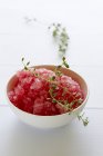 Closeup view of cranberry Granita with herb in bowl — Stock Photo