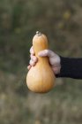Hand holding butternut squash — Stock Photo
