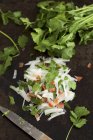 Луковый салат с кориандром — стоковое фото