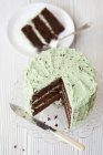 Mint chocolate chip cake — Stock Photo