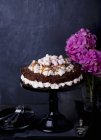 Torta al cioccolato con marshmallow — Foto stock