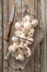 Cogumelos em cesta de arame — Fotografia de Stock
