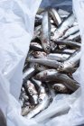 Fresh anchovies in plastic bag — Stock Photo