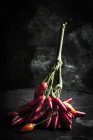 Sprig of red chilli peppers — Stock Photo