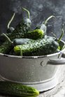 Freshly washed cucumbers — Stock Photo