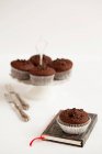 Muffins au chocolat aux pépites de chocolat — Photo de stock