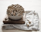 Cogumelos shimeji frescos — Fotografia de Stock