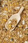 Muesli di granola con mango essiccato — Foto stock