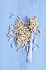 Pine nuts in heap with spoon — Stock Photo