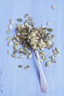 Pumpkin seeds with spoon — Stock Photo