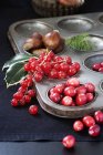 Cranberries, redcurrants and chestnuts — Stock Photo
