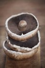 Стопка свежих грибов — стоковое фото