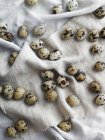 Quail eggs on linen fabric — Stock Photo