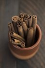 Bâtonnets de cannelle dans un pot en terre cuite — Photo de stock