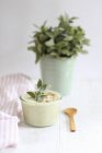 Crema de sopa de brócoli - foto de stock