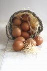 Huevos marrones crudos - foto de stock
