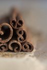 Raw Cinnamon sticks — Stock Photo