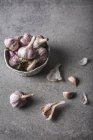 Organischer lila Knoblauch — Stockfoto