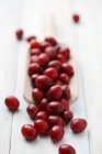 Cranberries with wooden scoop — Stock Photo