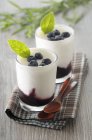 Crème de yaourt aux myrtilles — Photo de stock