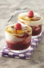 Closeup view of Creme brulees with raspberries — Stock Photo