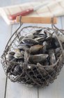 Mussels in wire basket — Stock Photo
