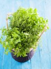 Basket of herbs with mint — Stock Photo
