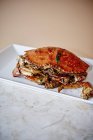 Crabe frit aux herbes et à l'ail sur plaque blanche — Photo de stock