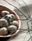 Ovos de codorna em tigela de madeira — Fotografia de Stock