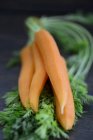 Zanahorias peladas con tapas - foto de stock