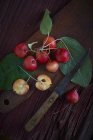 Крабовые яблоки с листьями — стоковое фото