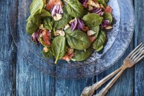 Spinach salad with salmon — Stock Photo