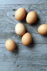 Huevos pardos ecológicos - foto de stock
