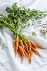 Bunch of carrots with tops — Stock Photo