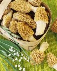 Close up view of Morels in and beside basket and flowers — стоковое фото