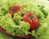 Ingredientes de salada em prato — Fotografia de Stock