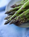 Fresh green asparagus in plate — Stock Photo