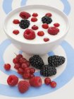 Joghurt mit frischen Beeren — Stockfoto