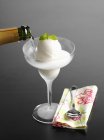 Champagne sorbet in glass — Stock Photo