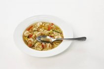 Sopa de verduras con fideos de pollo y alfabeto - foto de stock
