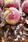 Forest cherry gateau — Stock Photo
