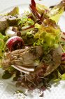 Осенний салат с филе — стоковое фото