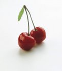 Pair of fresh washed cherries — Stock Photo