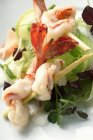 Portion Salat mit Garnelen — Stockfoto