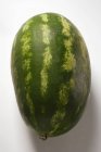 Frische ovale Wassermelone — Stockfoto